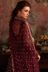 2-PC Embroidered Net Pishwas Suit stm-5-09