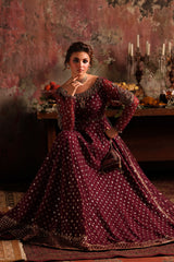 2-PC Embroidered Net Pishwas Suit stm-5-09