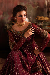 2-PC Embroidered Net Pishwas Suit stm-5-09