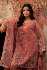 3-PC Embroidered  Raw Silk CMA-6-94