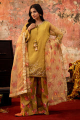 3-PC Embroidered  Organza CMA-6-95