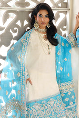 3-PC  Embroidered Cotton Net CMA-5-239