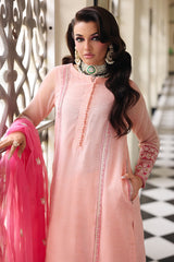 3-PC  Embroidered Cotton Net CMA-5-235