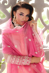 3-PC  Embroidered Cotton Net CMA-5-235