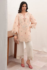 2-PC Stitched Embroidered Lawn Collection CNP-6-221