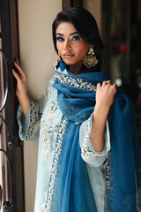 3-PC  Embroidered Cotton Net CMA-5-238