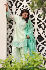 3-PC  Embroidered Cotton Net CMA-5-234