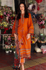 3-pc Unstitched Wool Shawl Collection PSW5-03