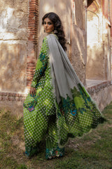 3-pc Unstitched Printed Staple DSCW5-21