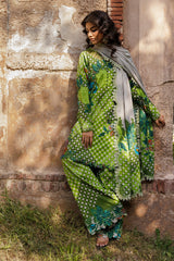 3-pc Unstitched Printed Staple DSCW5-21