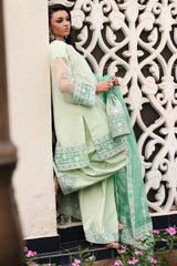 3-PC  Embroidered Cotton Net CMA-5-234