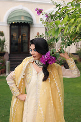 3-PC  Embroidered Cotton Net CMA-5-240