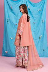 3-PC Stitched Embroidered Lawn Collection CNP-6-279