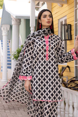 3-Pc Printed Lawn Short Shirt With Printed Straight Trouser and Chiffon Dupatta CPM23-42B