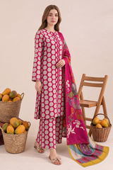 3-PC Stitched Embroidered CPM-6-222
