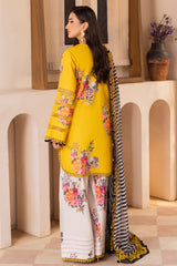 3-PC Unstitched Embroidered Lawn Collection CH6-12