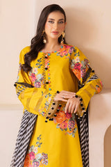 3-PC  Embroidered Lawn Collection Suit CH6-12 P