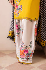 3-PC  Embroidered Lawn Collection Suit CH6-12 P