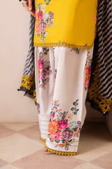 3-PC Unstitched Embroidered Lawn Collection CH6-12