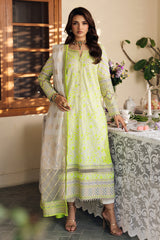 3-PC Unstitched Embroidered Lawn Collection  ED6-05