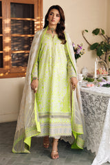3-PC Unstitched Embroidered Lawn Collection  ED6-05