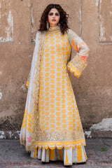 3-PC Unstitched Embroidered Chiffon Collection VSLW6-10