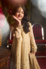 3-PC Embroidered Chiffon Suit CKP-5-182