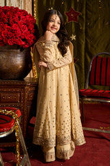3-PC Embroidered Chiffon Suit CKP-5-182